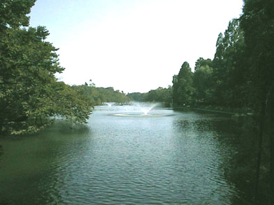 ��̓�����