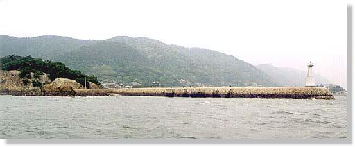 �ʒÓ��̔g�~�Q